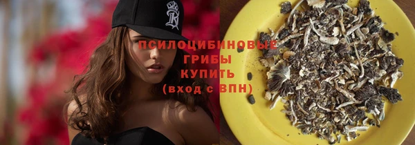 амфетамин Новодвинск