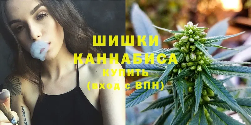 Каннабис индика  Малаховка 